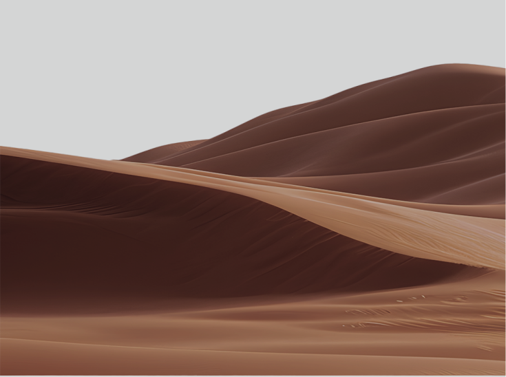 Dune Section