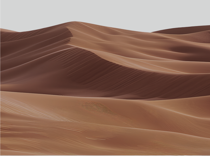 Dune Section