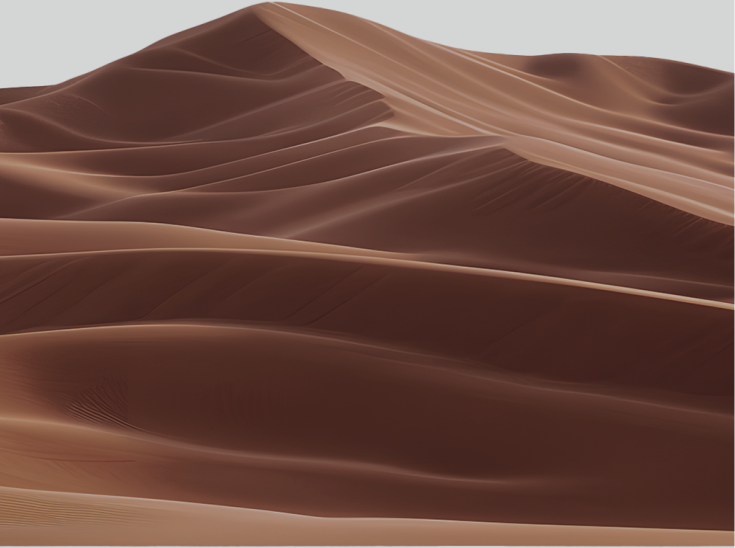 Dune Section